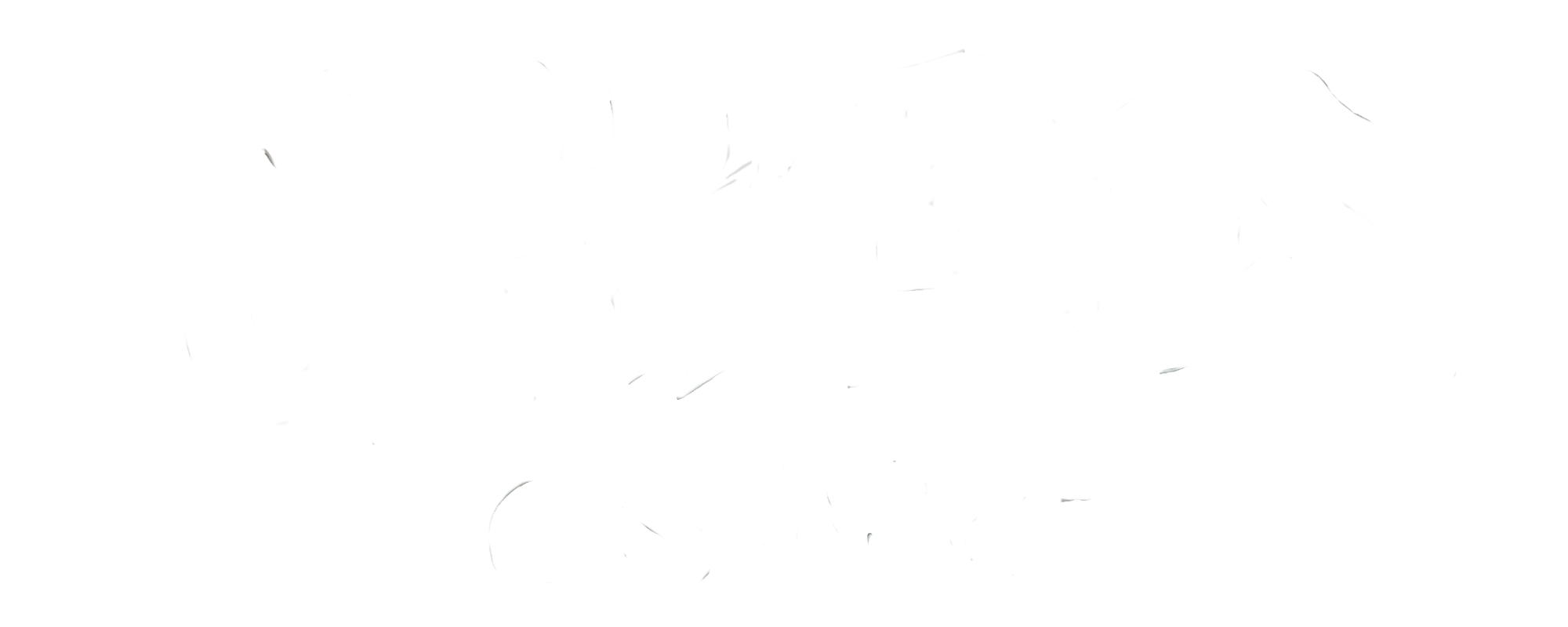 C@S-white-logo